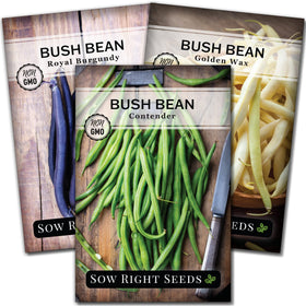 Sow Right Seeds tri-color bush bean collection packets ready for planting.