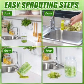 Sozize drain tray catches drips for a tidy sprouting setup.