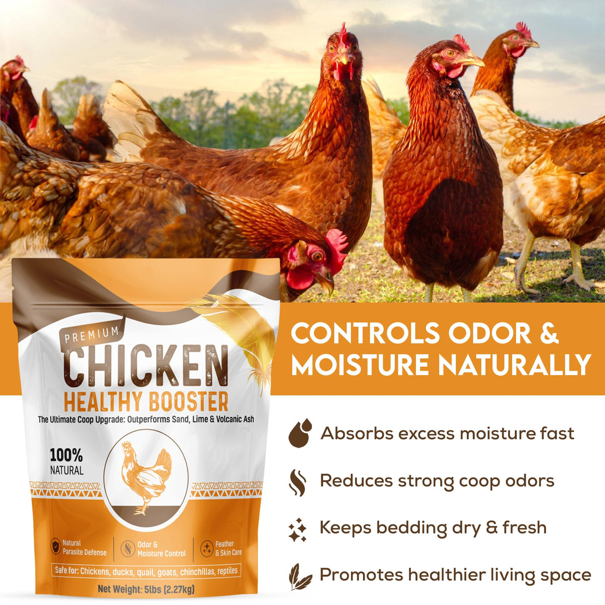 Spanielbuns feather-skin-care dust supports clean plumage and comfortable skin.