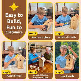 SparkJump decorative windows enhance charm and birdwatching appeal.