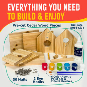 SparkJump Jr bright paints add vibrant color to your backyard birdhouse project