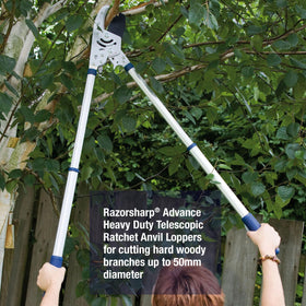 Spear and Jackson Razorsharp loppers featuring SK5 blade for lasting sharpness.