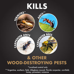 Spectracide 96410 Termite Killer used on a treated porch area showing localized pest control.