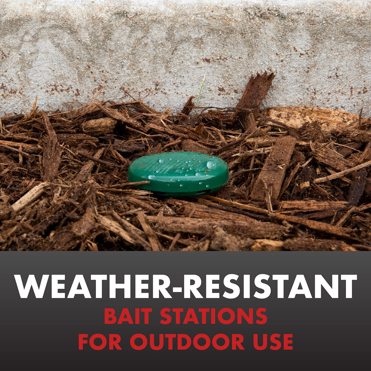 Spectracide Ant Shield weather-resistant station demonstrates durable outdoor use.