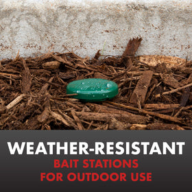 Spectracide Ant Shield weather-resistant station demonstrates durable outdoor use.