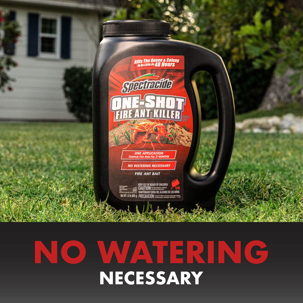 Morning or evening application supports active ant foraging.