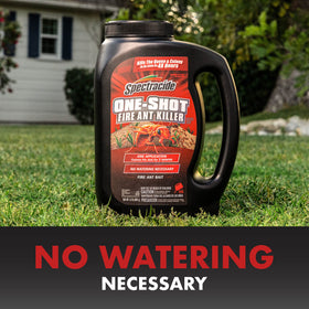 Morning or evening application supports active ant foraging.