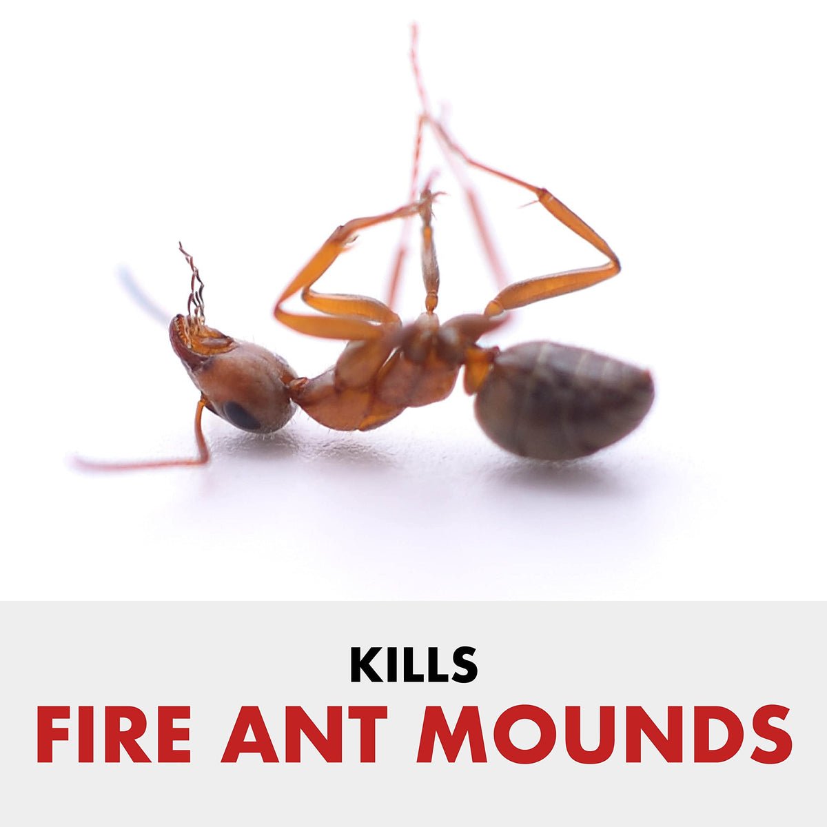Granules being spread with a spreader for broad yard coverage by Spectracide Fire Ant Shield.