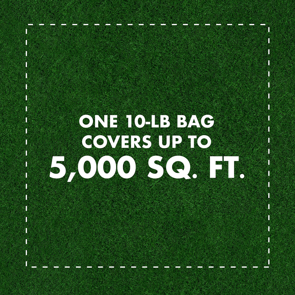 The product also targets pests like crickets and fleas with Spectracide Shield granules.