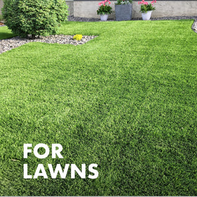 Spectracide Immunox being applied to protect lawn from diseases and insects