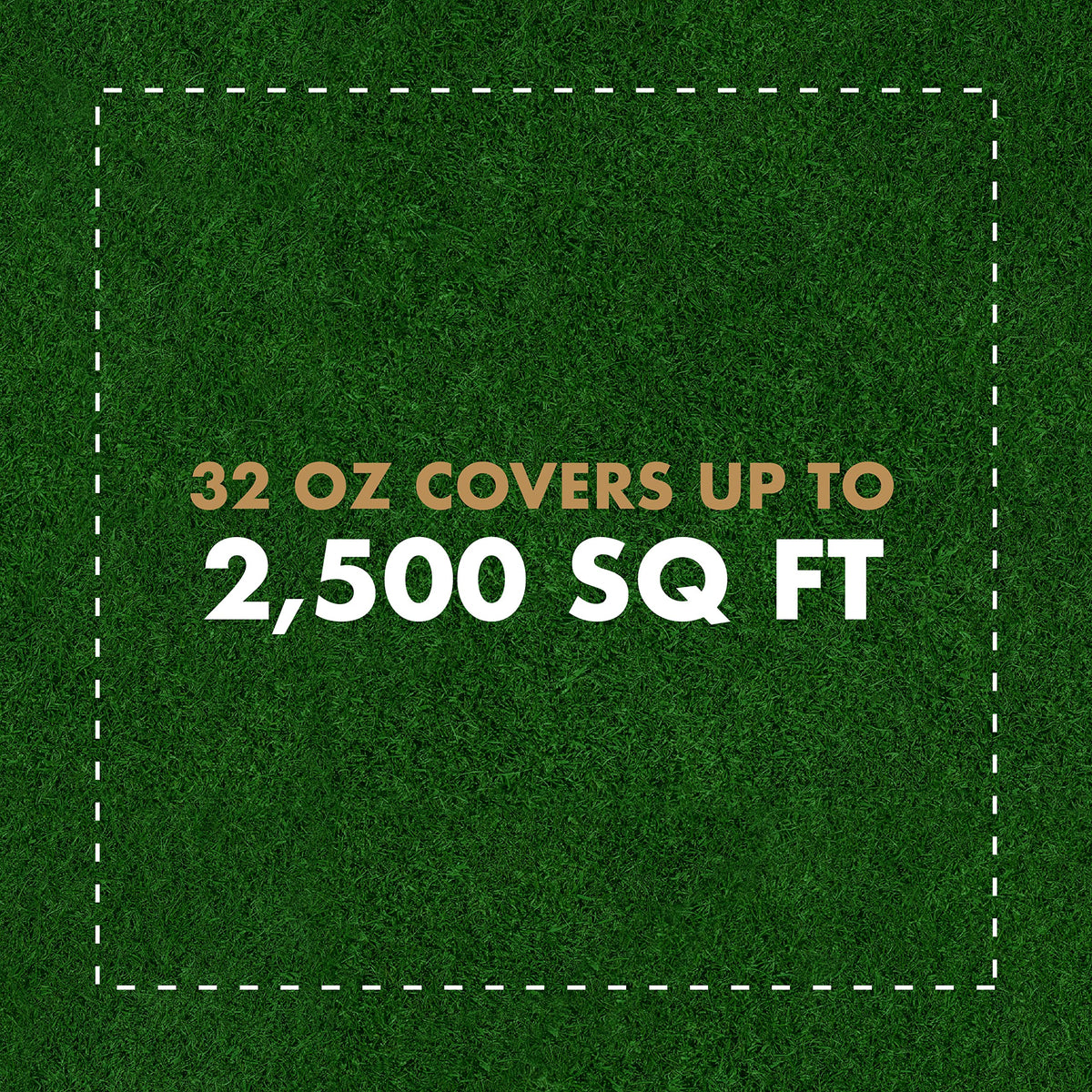 Spectracide Immunox dual-action formula for lawn disease and insect control
