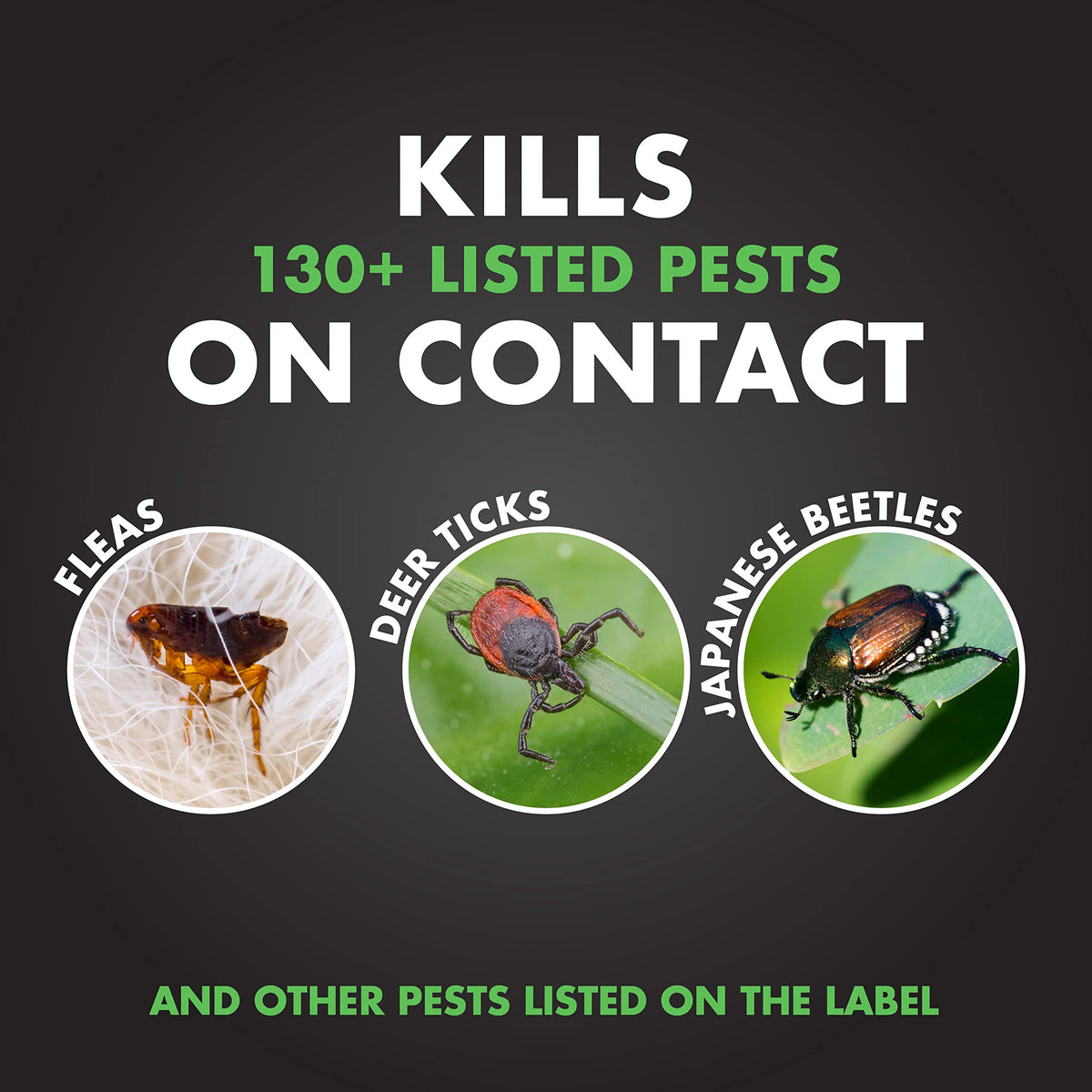 Spectracide Insect Killer garden application on lawn treatment.