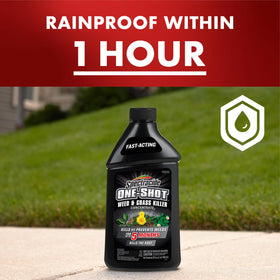 Spectracide One-Shot spray application for targeted outdoor weed treatment.