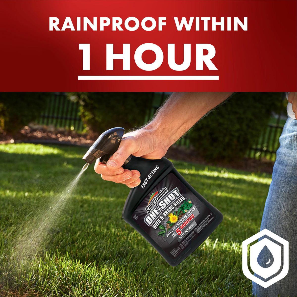 Spectracide One-Shot kills weeds down to the root for lasting control