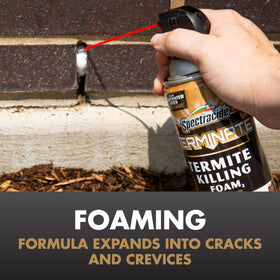 Also addresses carpenter bee activity in active tunnels with spot treatment.