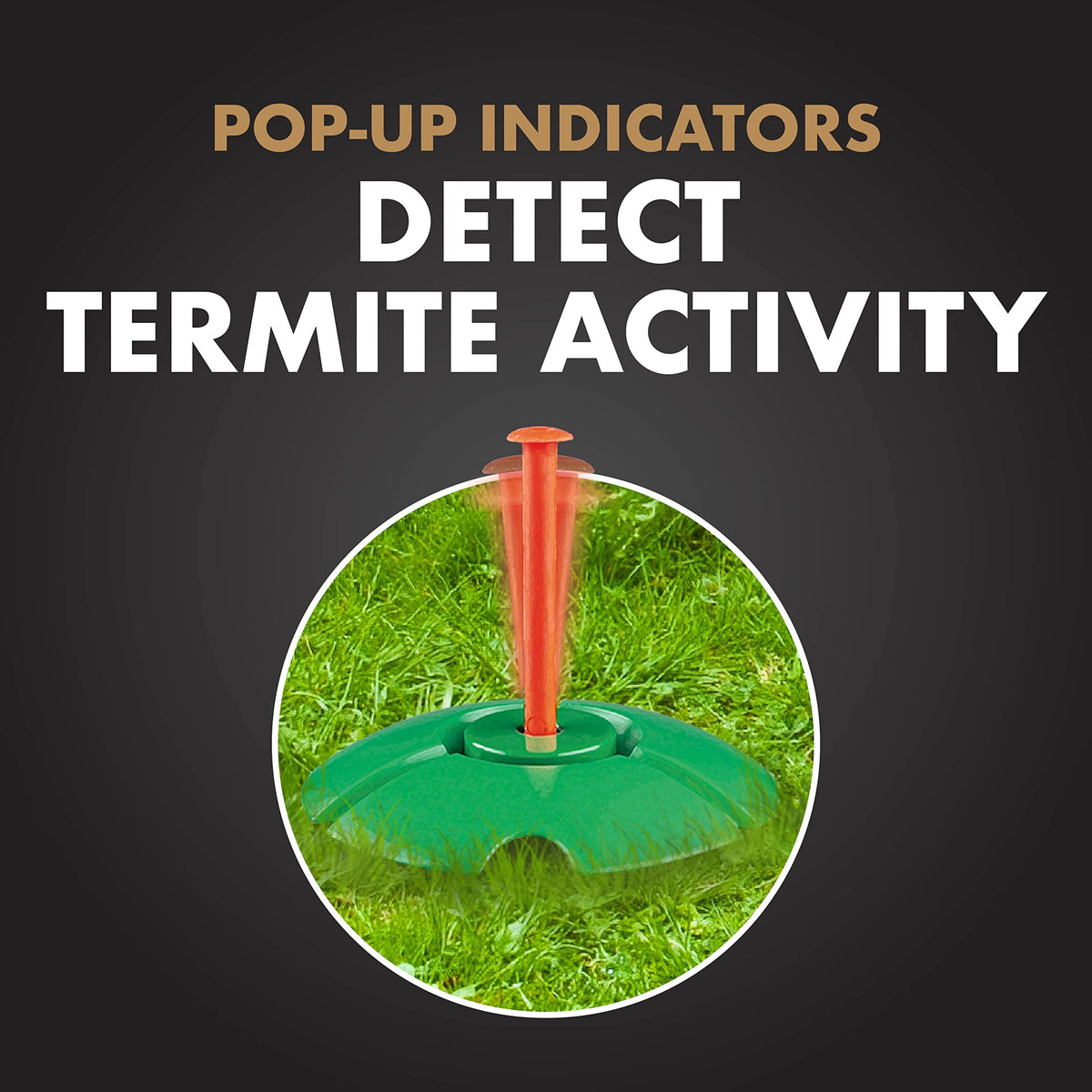 Spectracide Terminate stake installed near a deck for monitoring purposes.