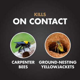 Spectracide Terminate termite foam spray effective indoors and outdoors on contact.