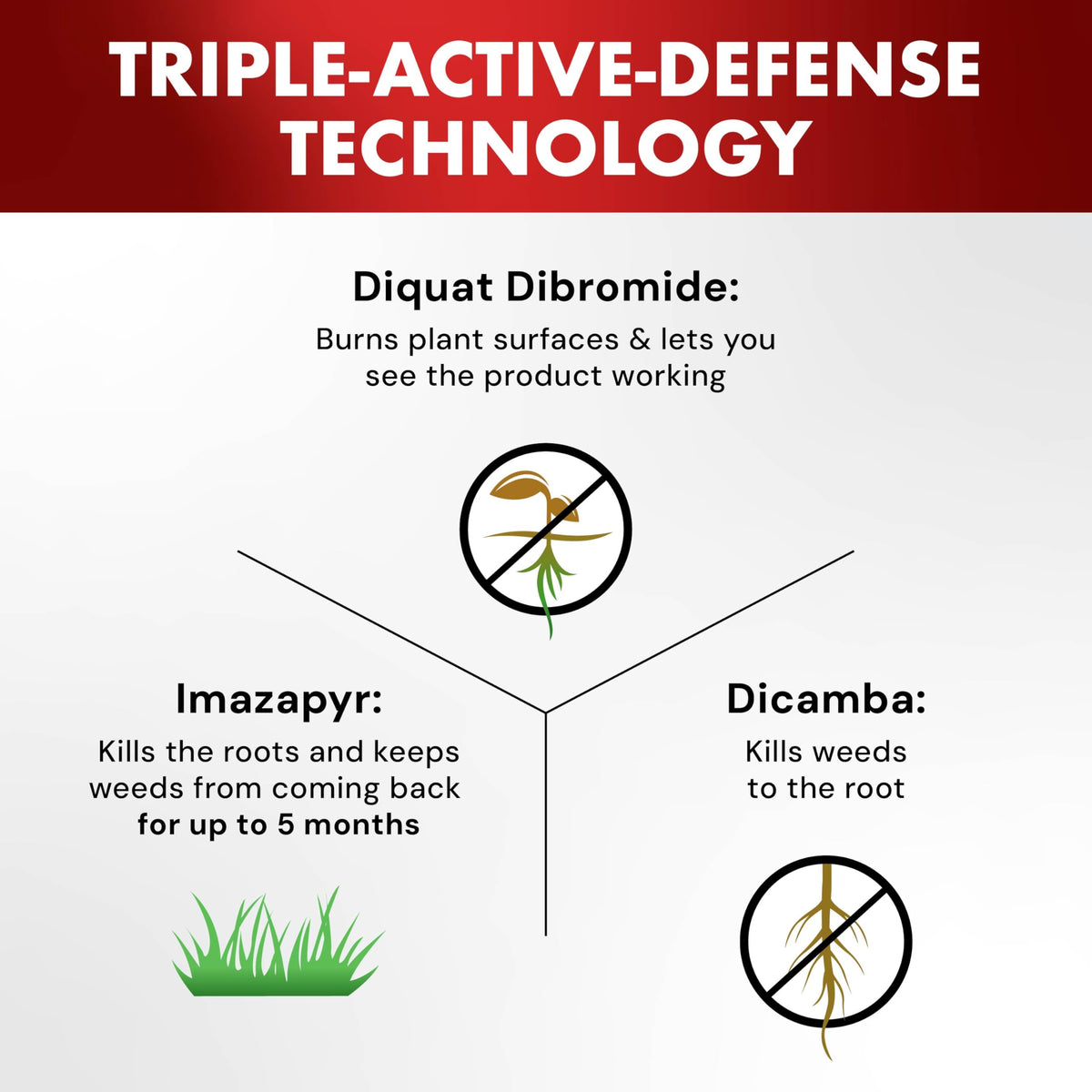 Spectracide extends along walkways for patio weed control.