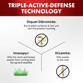 Spectracide extends along walkways for patio weed control.