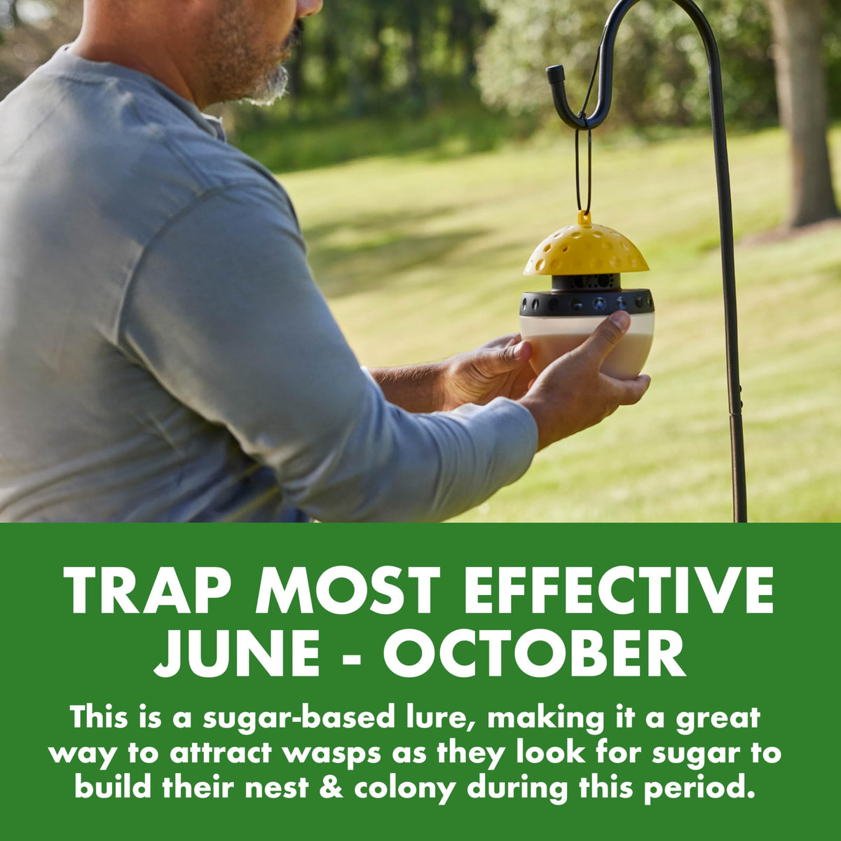 Refill pack for Spectracide Wasp Trap sold separately.