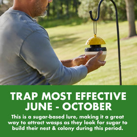 Refill pack for Spectracide Wasp Trap sold separately.