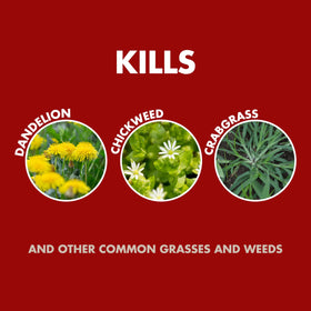 Spectracide Weed and Grass Killer Concentrate used around flowers and shrubs for weed control