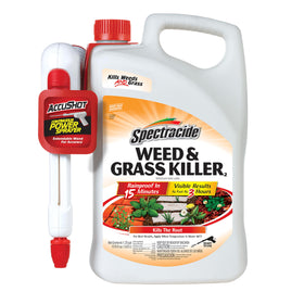 Spectracide Weed & Grass Killer with AccuShot sprayer targets weeds around paths for root level control.