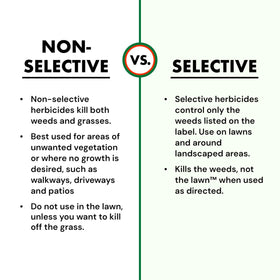Spectracide Weed Killer Concentrate spot-treats a patio and walkway effectively.