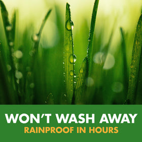 Rainproof timing visual showing Weed Stop remains effective after 6 hours of drying.