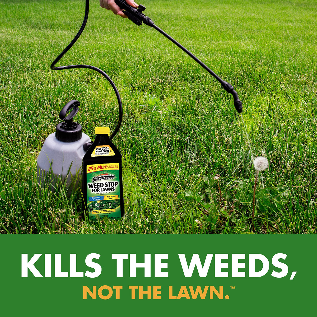 Spray application on a healthy lawn targeting weeds with a sprayer labeled Weed Stop.