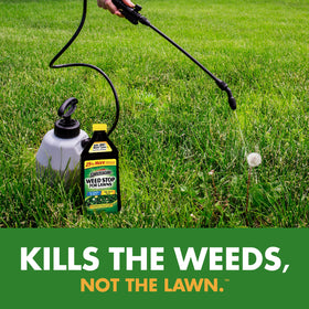 Spray application on a healthy lawn targeting weeds with a sprayer labeled Weed Stop.