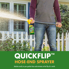 Bluegrass lawn treated with Spectracide Weed Stop for Lawns