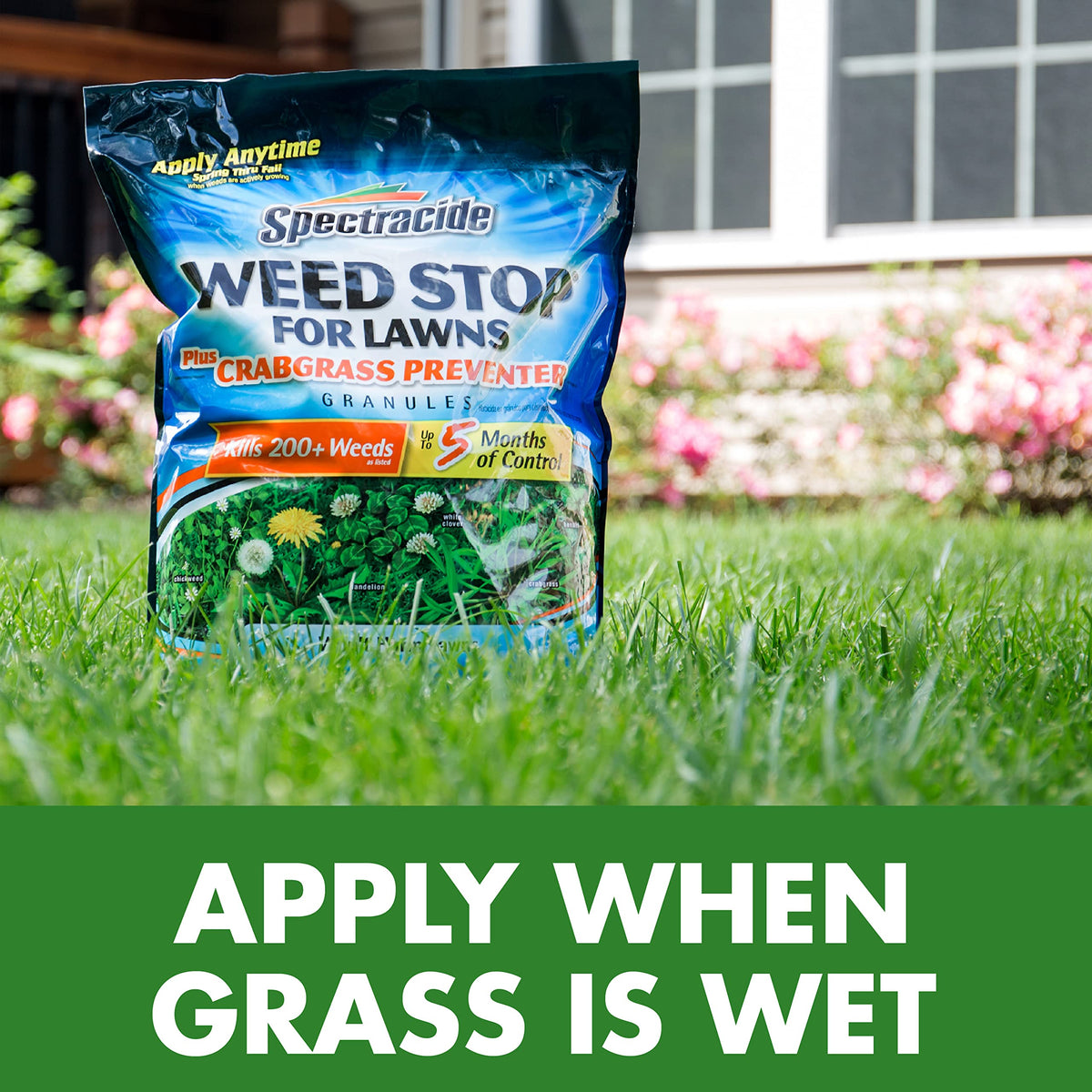 Spectracide Weed Stop granules being spread on a lawn with a spreader.
