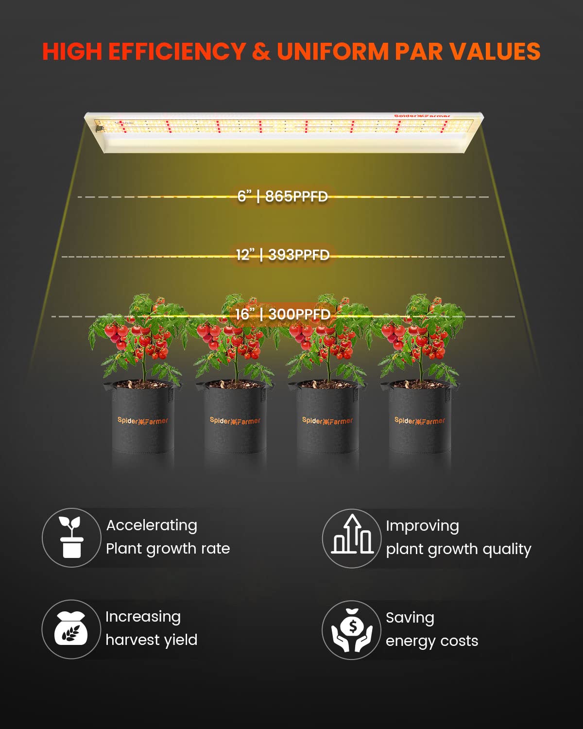 SF600 delivers a 120-degree beam for even, dense canopy coverage.