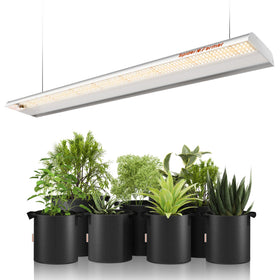 Spider Farmer SF600 front view shows a slim, space-saving grow light for compact indoor setups.