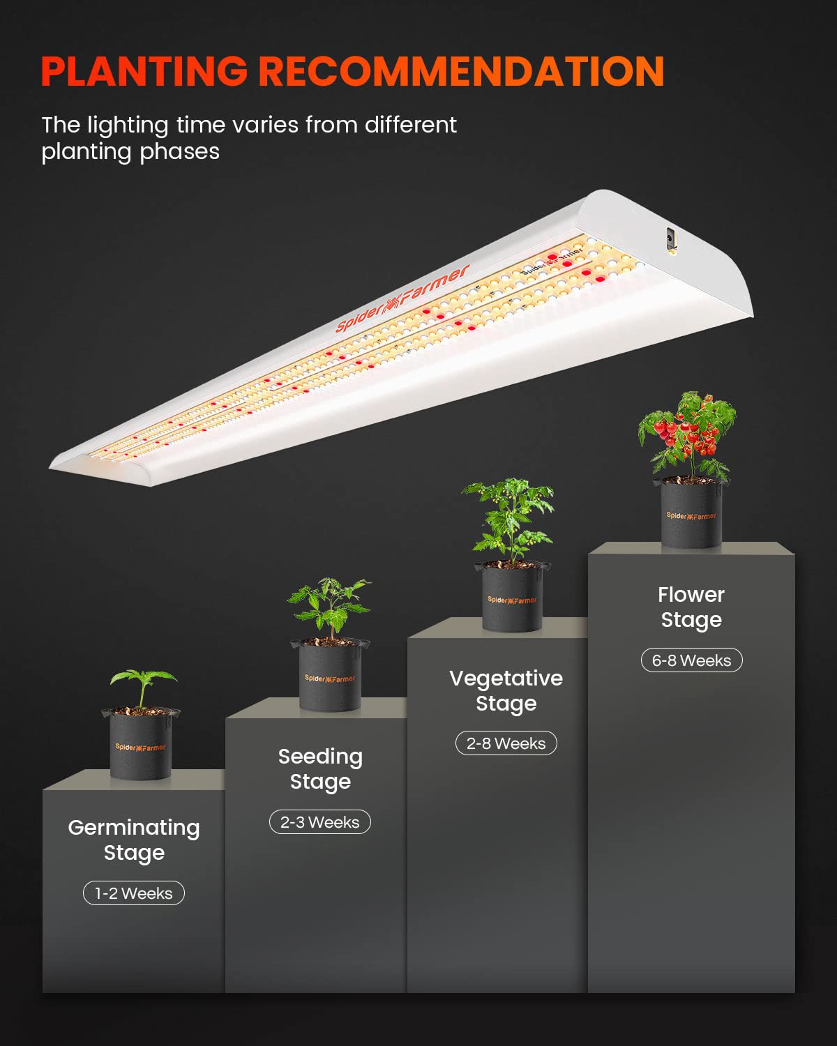 Full-spectrum output supports germination and flowering stages in plants.