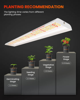 Full-spectrum output supports germination and flowering stages in plants.