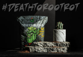 Spike & Bloom gritty texture cactus soil supports fast drying for indoor plants.
