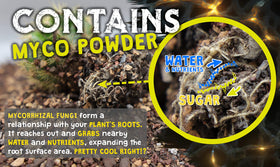 Spike & Bloom mycorrhizae powder in cactus soil boosts nutrient uptake.