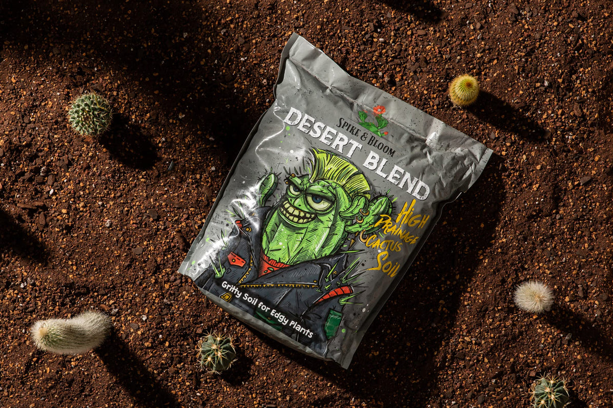Spike & Bloom ph-6-5 cactus mix creates slightly acidic conditions.