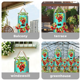 SPONDWILD 3-pack provides vertical gardening options for compact spaces.