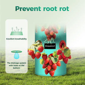 SPONDWILD efficient drainage prevents waterlogging and supports healthy roots.