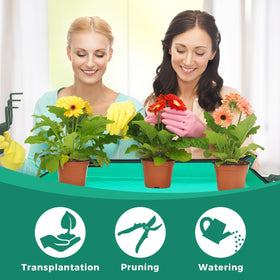 SPONDWILD gift-ready packaging highlights thoughtful gardening gift option.