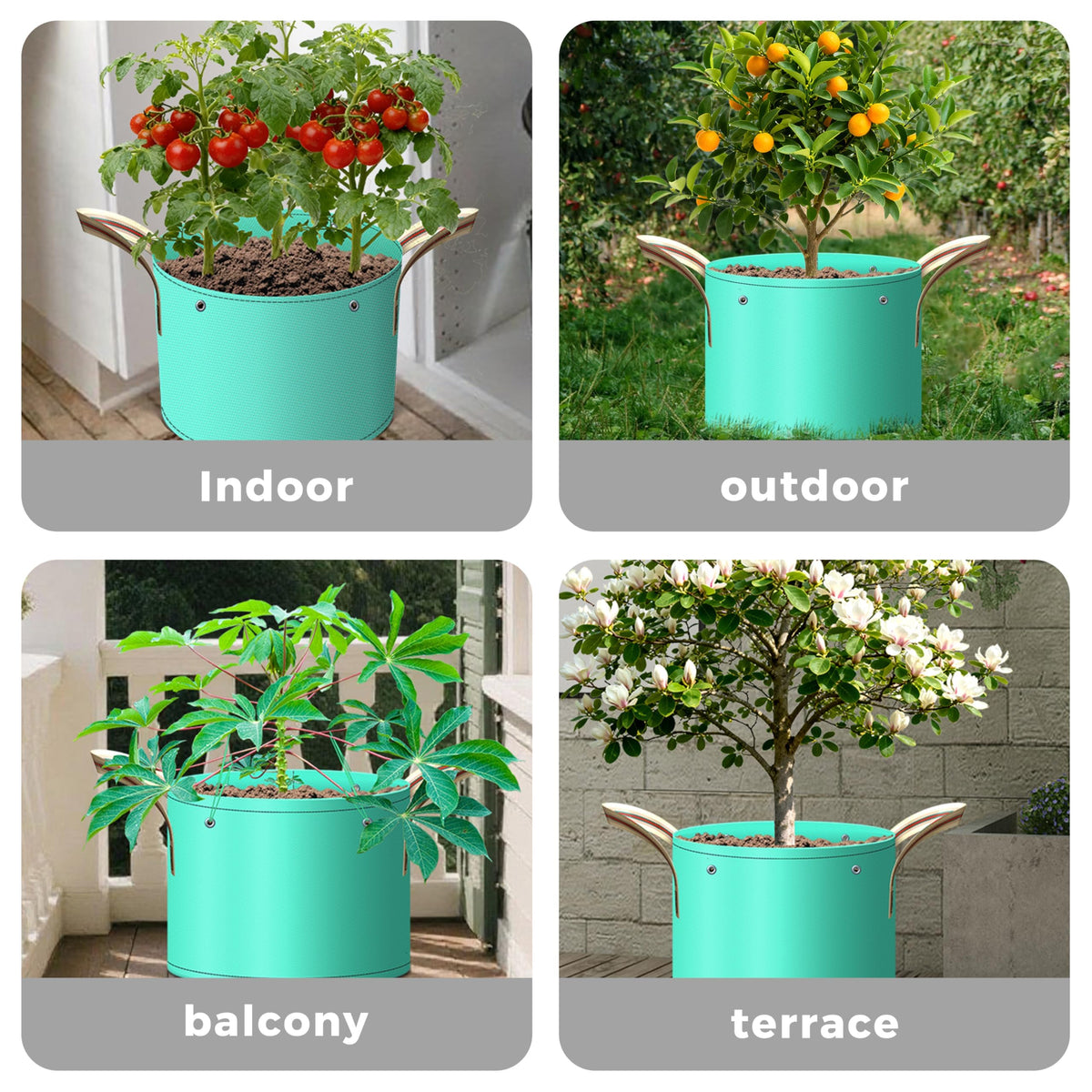 SPONDWILD 7Pcs bags support flowers and herbs with reliable drainage and airflow.