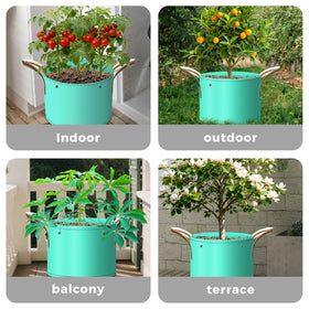 SPONDWILD 7Pcs bags support flowers and herbs with reliable drainage and airflow.