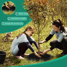 SPONDWILD pre-cut hole design demonstrates easy installation around trunks.