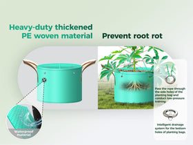 SPONDWILD ideal for strawberries, allowing drip-free watering and neat patch growth.
