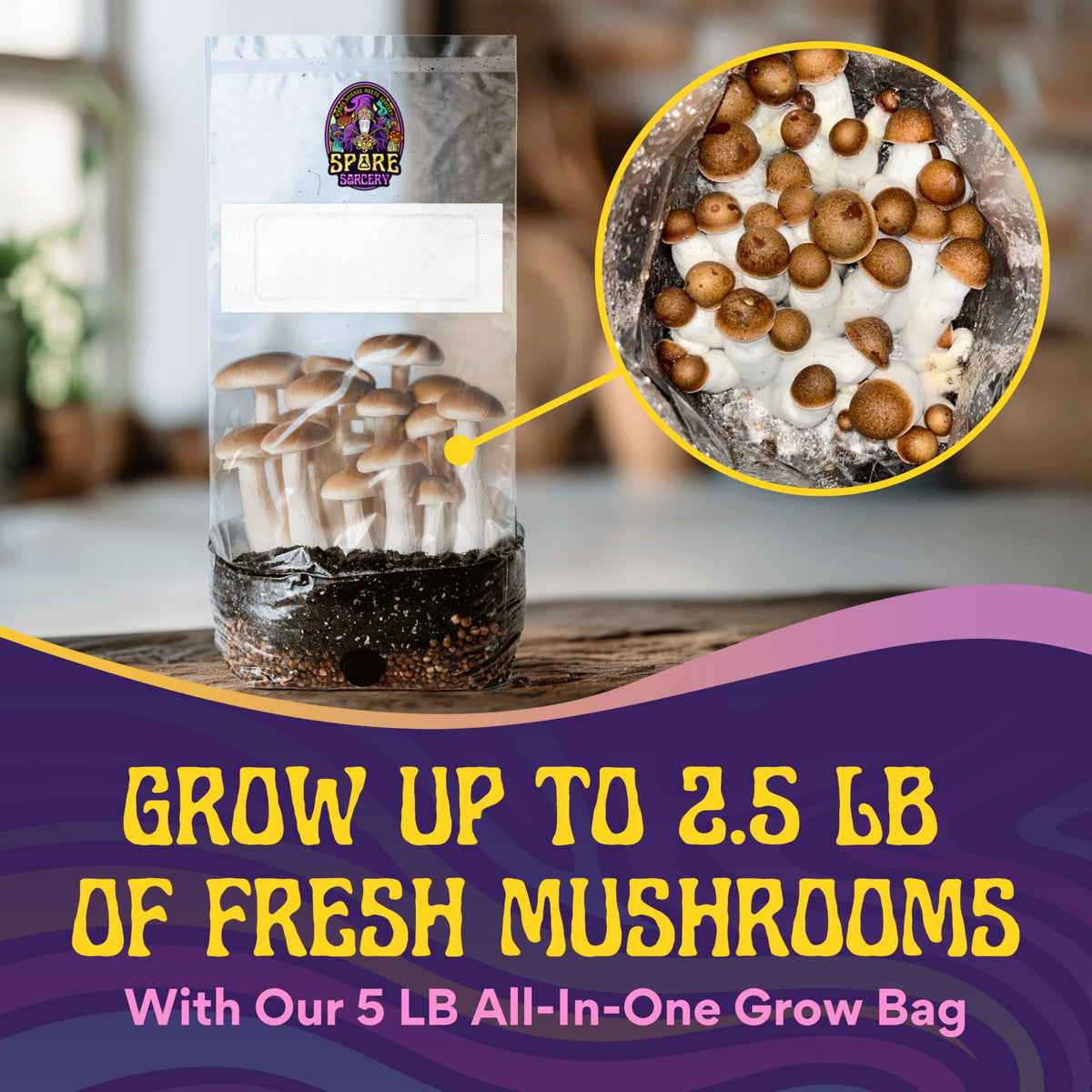 SPORE SORCERY grow bag with 0.5-micron filter patch for airflow