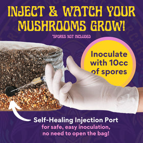 SPORE SORCERY nutrient-enhanced mix supports robust mycelium