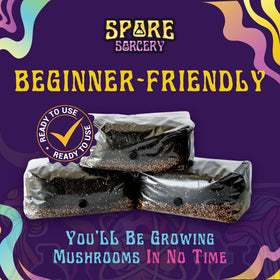SPORE SORCERY expert-designed mycology kit for home growers.